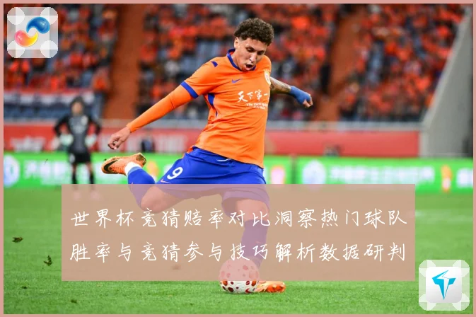 世界杯竞猜赔率对比洞察热门球队胜率与竞猜参与技巧解析数据研判-深度解析